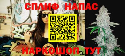 дживик Будённовск